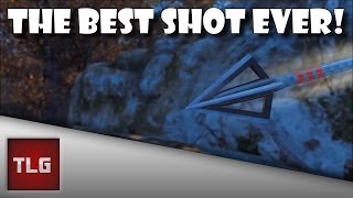 THE BEST SHOT EVER! - Cabela's Big Game Hunter: Pro Hunts