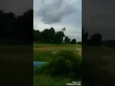 Kampung  Kemboja Pekan Pahang