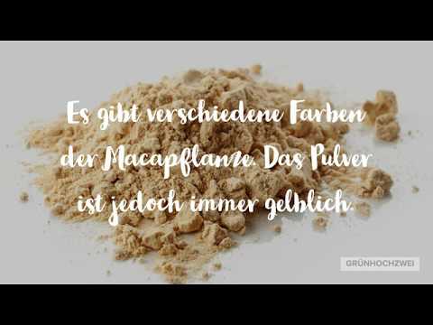 Maca Pulver - 6 Fakten über die Wunderknolle