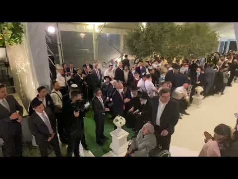 “Ilan” at Yosef and Batsheva Green’s Chuppah