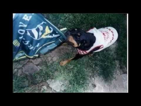 Turma do BF - Malako RDC