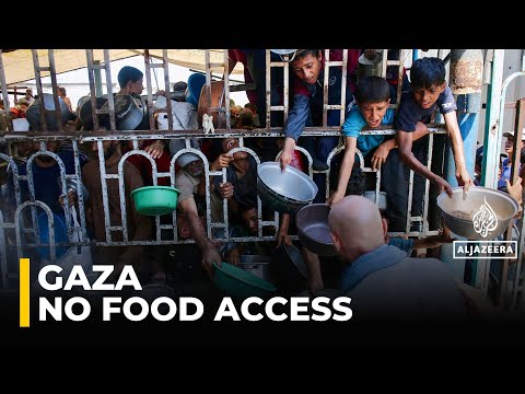 Video — Al Jazeera