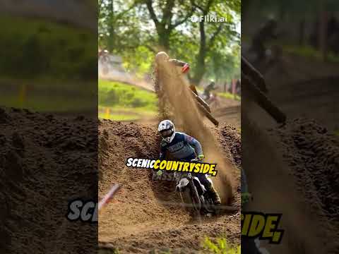 Top 10 Things To Do in Denmark