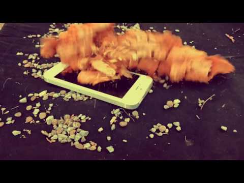 SafeDisplay Panzerglas - Härtetest - 2407on