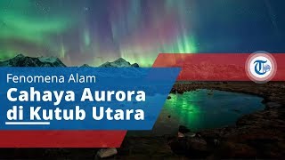Aurora Borealis, Cahaya Aurora yang Muncul di Kutub Utara