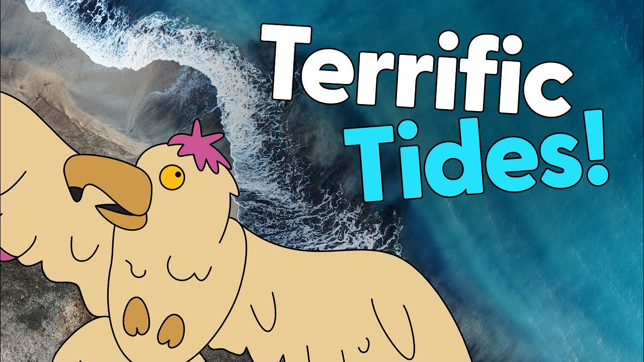 Terrific Tides