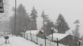 preview picture of video 'Snowfall, Fagu (Kufri), Himachal Pradesh'