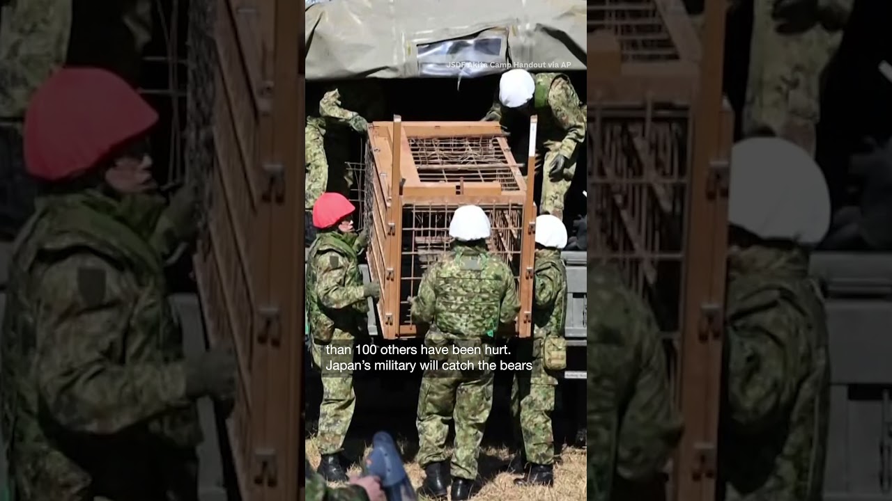 Japan deploys troops to combat surge in bear attacks