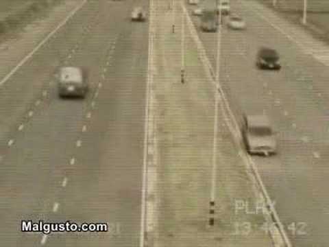 Todo el mundo necesita un seguro