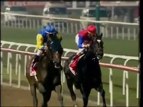 プレザントリーパーフェクト（Pleasantly Perfect）　ドバイワールドカップ（Dubai World Cup） 2004年　海外競馬G1