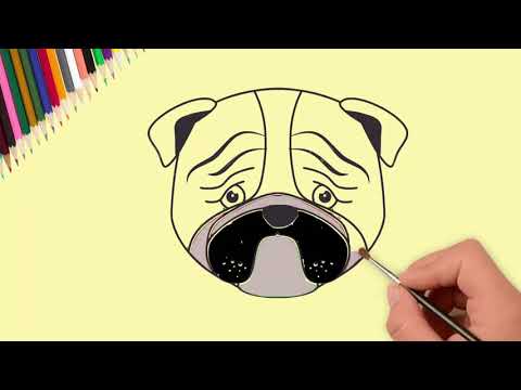 dog drawing and colouring Video