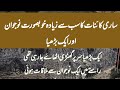 Mohummed S.A.W Aur Burhya Ka Waqya| Moral Urdu Story | Sabaq Amoz Kahani | Islamic Story| Islamic Tv