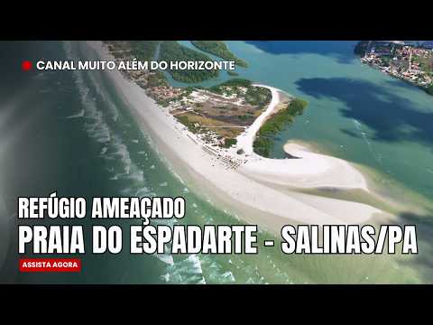Espadarte em Salinópolis: Um Paraíso Escondido Entre o Atalaia e o Maçarico