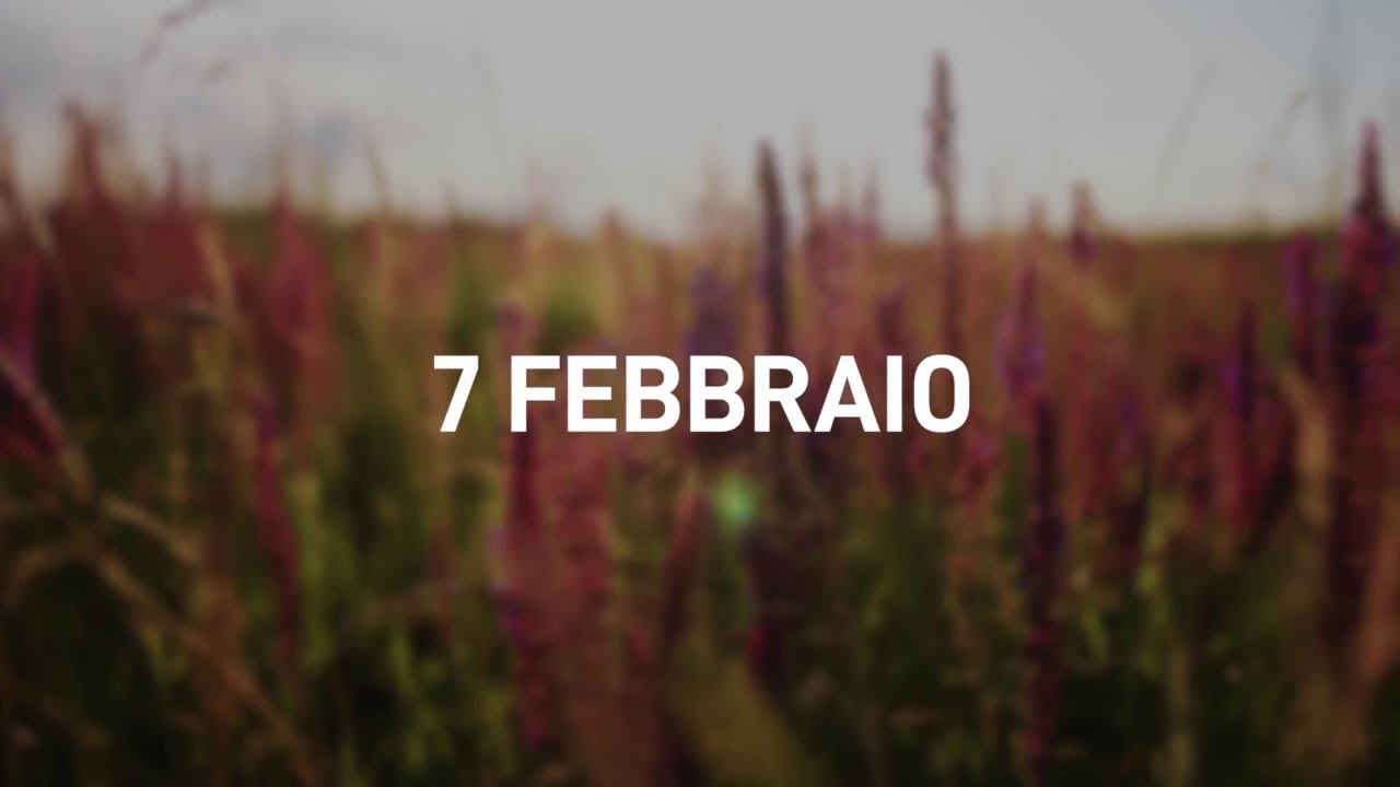 7 Febbraio 2025 | Meditazione Parole di Vita