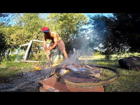 PESCA URBANA, pesca y cocina, recorrido, peces, perros y naturaleza.