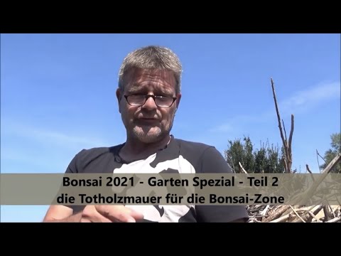 Bonsai 2021-34 - Garten Spezial - Teil 2 - die Totholzhecke / Benjeshecke für die Bonsai-Zone