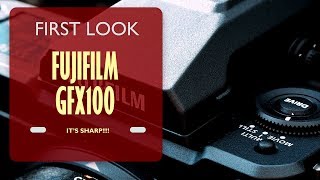 Fujifilm GFX100 Initial Thoughts and Sample Images