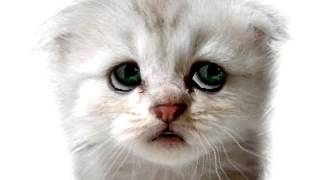 world is mine by madison