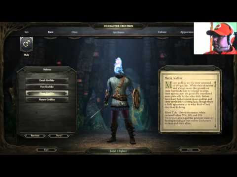Let's Play - Pillars of Eternity - Story Mode! Read every Codex Entry! Part 1