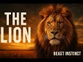 The Lion S Epic Life From Cub To King Lion Animals Nature Wildlife Beasty Beast