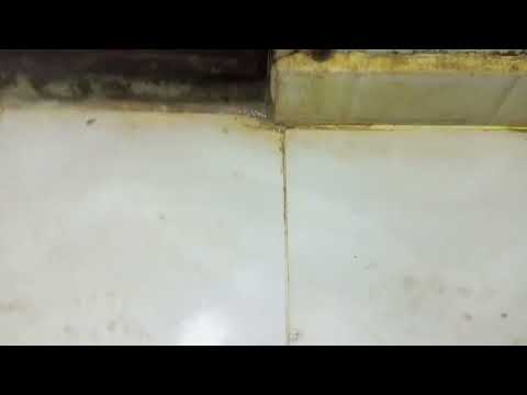 Saiyaara Title Song | Ahaan Panday, Aneet Padda | Tanishk Bagchi, Faheem A, Arslan N | Irshad Kamil