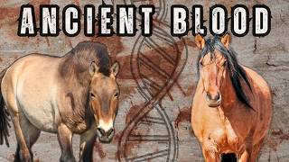 I Tested a Wild Mustang's DNA (Shocking Results!)