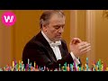 Prokofiev Romeo And Juliet No 13 Dance Of The Knights Mariinsky Orchestra Valery Gergiev