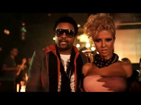 Bob Sinclar & Sahara ft. Shaggy - I Wanna (Official Music Video)