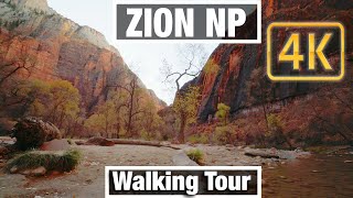 4K City Walks: Zion NP Utah Riverside Walk Trail - Virtual Walk Walking Treadmill Video free tour