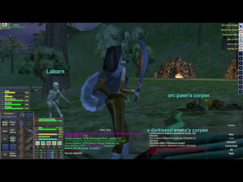 Everquest Project 1999 Let's Play a Monk! S1:E3 Levels 5-6