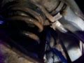 Overview of Buick Lesabre fuel pump replacement ...