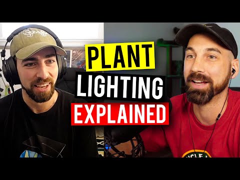 All About Lighting For Plants 2022! What To Know & Look For! (Garden Talk #66)