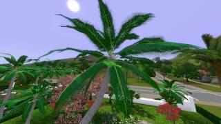 Sims 3 house:  My Sweet far Paradise !