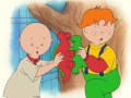 Caillou Caillou Sleeps Over S01E54