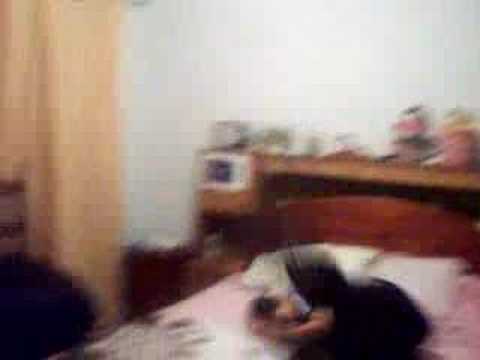 Www Petatdas Com
