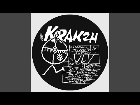 The Lost Industrial Temples (Asw Remix)