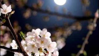 Raag Kedar, Ustad Rashid Khan, Pandit Bharat Bhushan Goswami