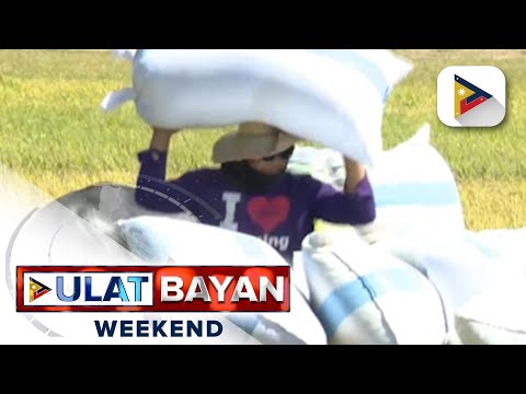 NFA, hihingi ng P16.5B na pondo para ipambili ng 545K MT ng palay sa 2025