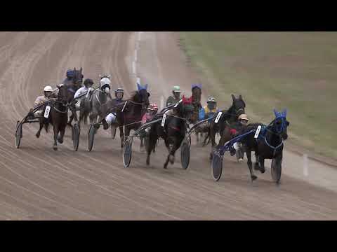 2020.12.30. 02. futam - ELŐSZILVESZTERI DÍJ