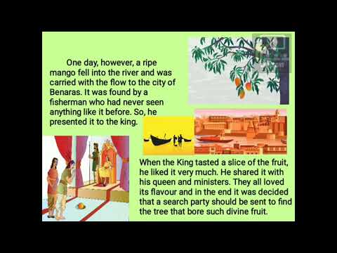 The Noble Monkey | STD 4 | English