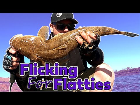Flathead Fishing Land Based with Soft Plastics