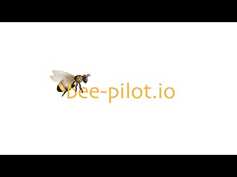 Die Idee von bee-pilot.io