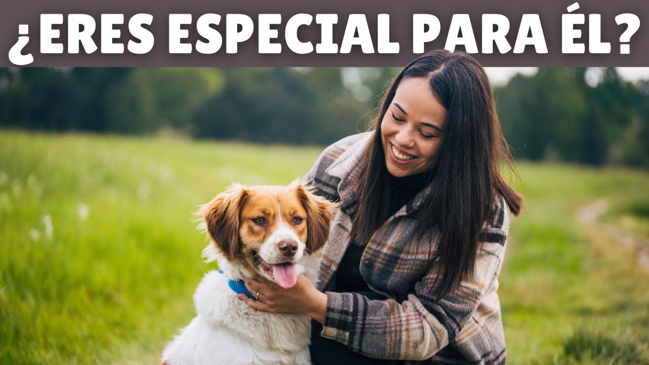 10 SEÑALES de que tu perro te considera SU MADRE
