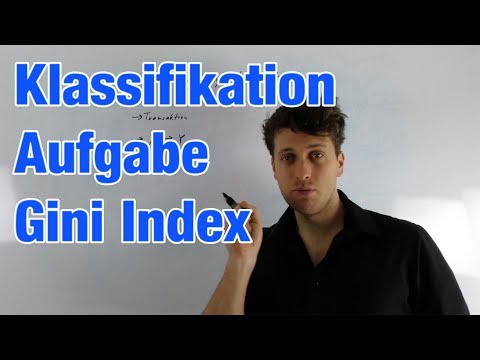 Klassifikation Aufgabe Gini Index - Beste Entscheidungregel berechnen