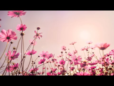 Kotodama Reiki HO A ZE HO NE 432 hz by Reiki Génération 6'