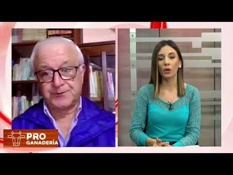 Inundaciones causan daños en el Departamento de Ñeembucú