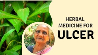 Herbal medicine for Ulcer and wounds 
