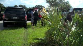 preview picture of video 'Port LaBelle Crash - Two Trees Downed By SUV'