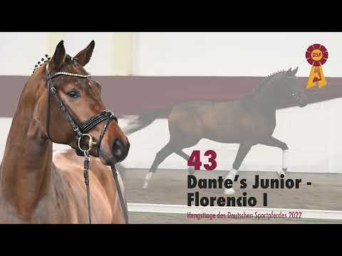 Lot 43: Hengst v. Dantes Junior/Florencio