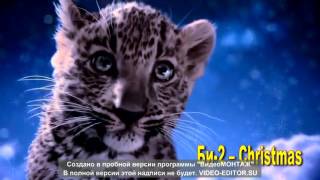 Би-2  "Christmas" фан-клип (пробник )